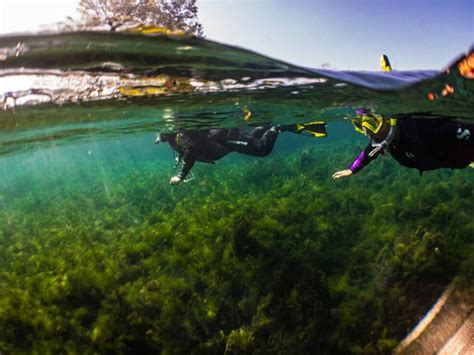 The Meadows Center for Water and the Environment : Texas State University