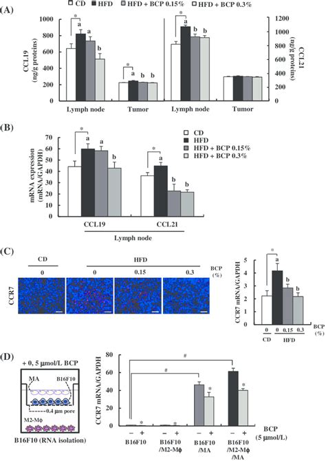 BCP Suppresses HFD Stimulated Secretion Of CCL19 And CCL21 In The LN