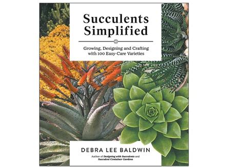 Succulent Gift Ideas Gift Guide The Succulent Eclectic