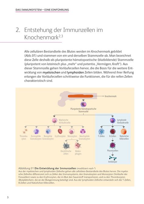 CAR T Zelltherapie Immunsystem und Immunevasion Fachportal für