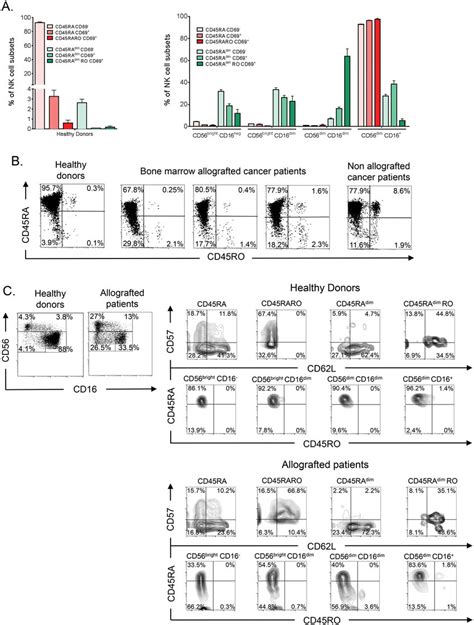 Nk Cell Subsets In Cancer Patients Allografted With Hsc A After