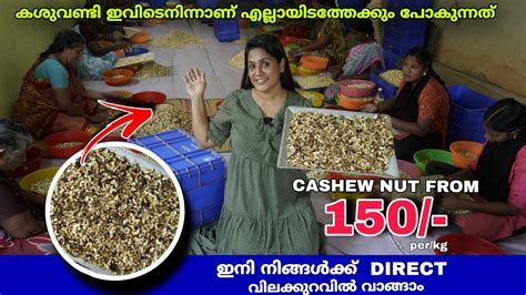 Rs Kg Cashew Nuts Wholesale Processing Factory Cashew Nut