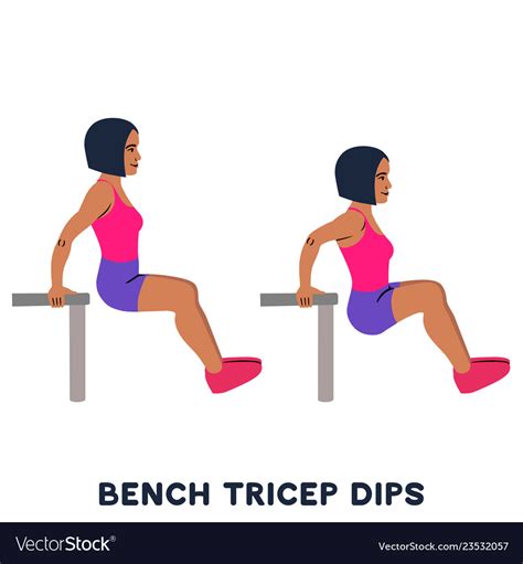 Chair Bench Triceps Dips Sport Exersice Royalty Free Vector