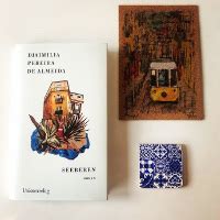 Djaimilia Pereira De Almeida Seebeben Buchlingreport