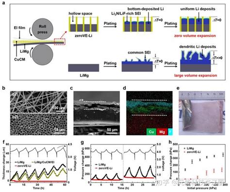 构建零体积膨胀的锂复合负极实现高能量密度稳定柔性锂金属电池 知乎