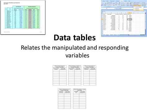 Chapter 1 Section 4 Presenting Scientific Data Organizing Data Scientists Can Organize Their