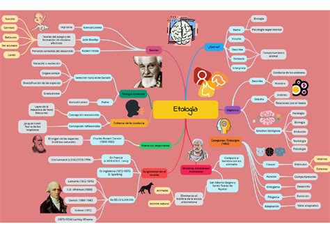 S2 Organizador Visual psicología del desarrollo I Studocu