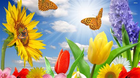 🔥 [40+] Spring Butterflies Wallpapers | WallpaperSafari