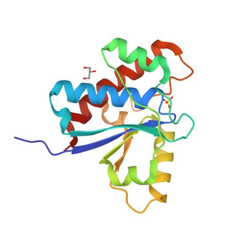 Rcsb Pdb 1xww Crystal Structure Of Human B Form Low Molecular Weight