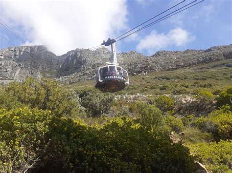 Robben Island Tafelberg Kirstenbosch Von Kapstadt Aus Getyourguide