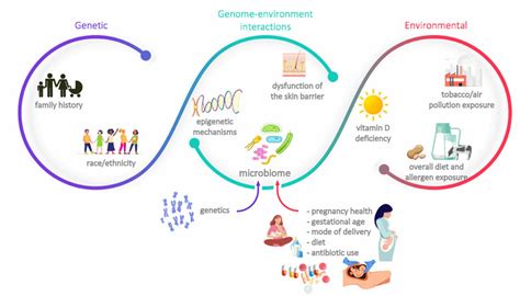 Main Risk Factors Associated With The Development Of Allergies