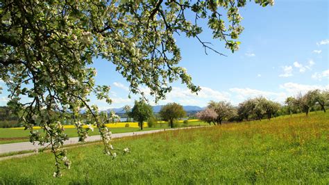 Virtuelles Naturerlebnis Kreisverband Traunstein F R Gartenkultur Und