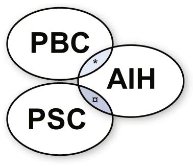 Relationship Between The Clinical Expressions Of PBC PSC And AIH