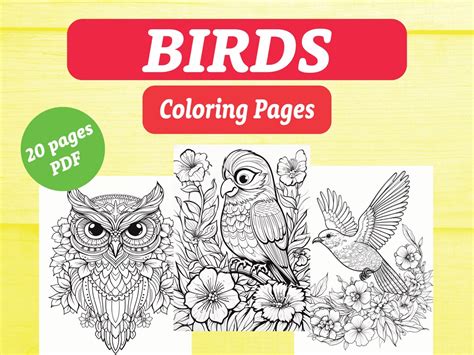 Bird Coloring Sheets Kids Coloring Sheets Wildlife Coloring Pages