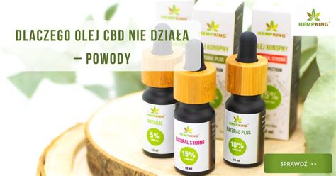 Cbd Nie Dzia A Poznaj Przyczyny Blog Hempking