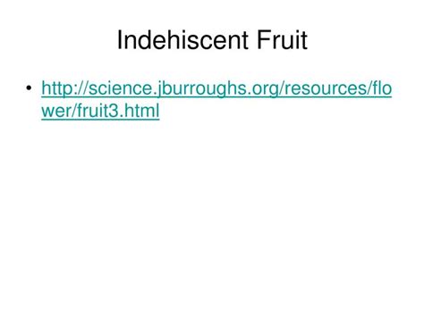 PPT - Fruit and seed types PowerPoint Presentation - ID:6897383