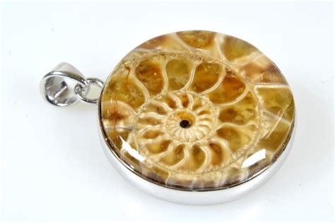 Ammonite Pendant Ammonite Fossils Jewellery For Sale 4243