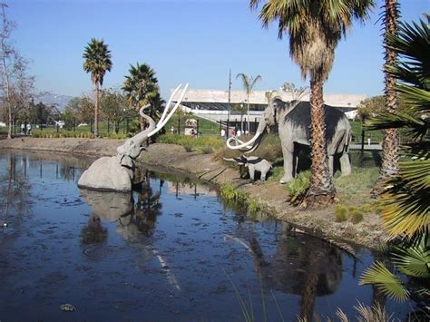 Visiting The La Brea Tar Pits With Small Children Baby Gizmo