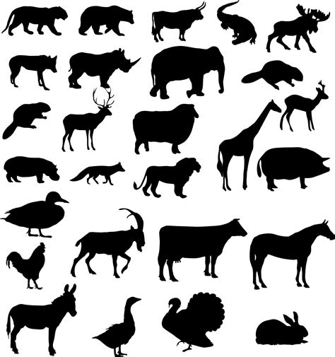 vector set of animals silhouette 3248991 Vector Art at Vecteezy