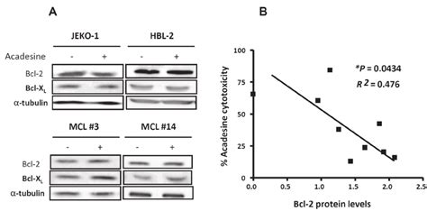 Bcl 2 Expression Inversely Correlates With Acadesine Sensitivity A Download Scientific