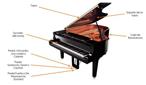 Lecciones De Piano Introducci N Al Piano