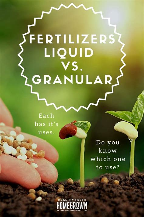 Liquid Vs Granular Fertilizer For Growing Vegetables: Can You Use Both? | Healthy Fresh ...