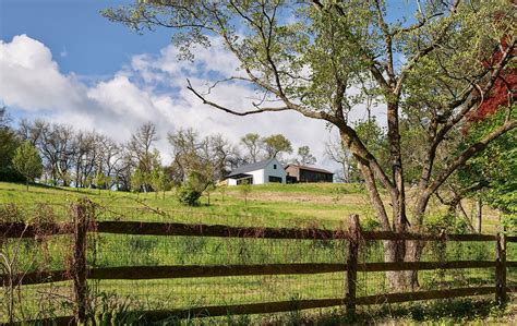 FARMSTEAD — MAMO Architects