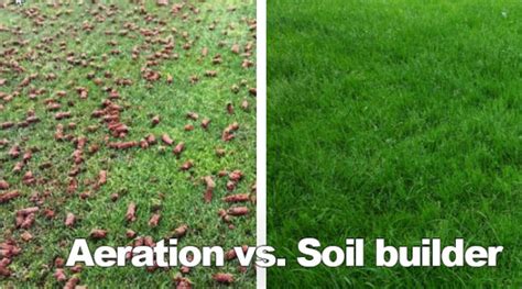 Soil Builder Fix Soil Compaction Without Aeration Grass Pad