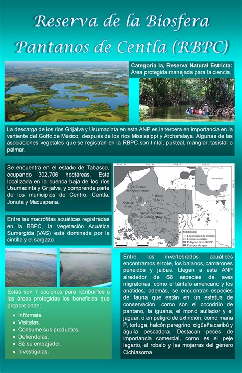 Infografia Sobre Las Reservas Naturales Reserva De La Biosfera The