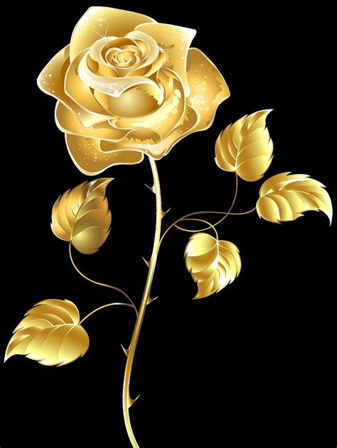 Rose Gold Rose With Black Backgrounds Golden Rose Hd Phone Wallpaper