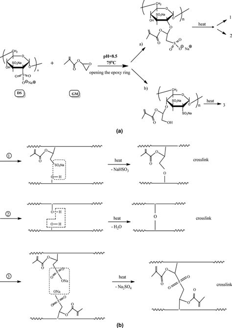 A The Proposed Mechanism For Crosslinking Reaction And B Schematic