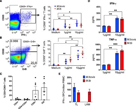 Figure 1 From Impact Of Siv Infection On Mycobacterial Lipid Reactive T