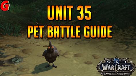 Unit 35 Pet Battle Guide BFA YouTube