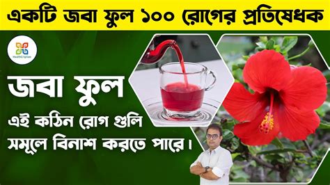 জব ফল র ৮ জদ জব ফলর চ খল ক হয Hibiscus Flower Magic