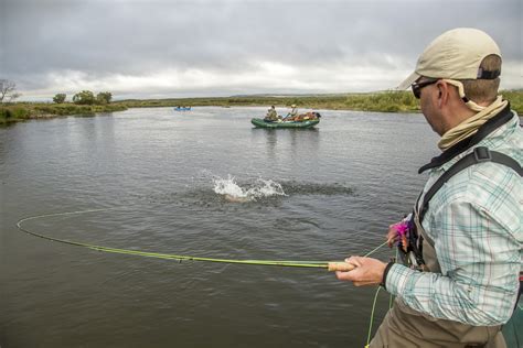 Wilderness Fishing Archives - Wild River Fish