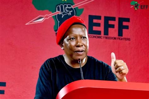 National Shutdown Nhlanhla Lux Will Arrest Julius Malema