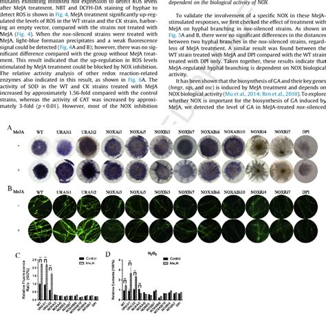 The Ros Level In G Lucidum After Meja Treatment And Nox Inhibition Download Scientific