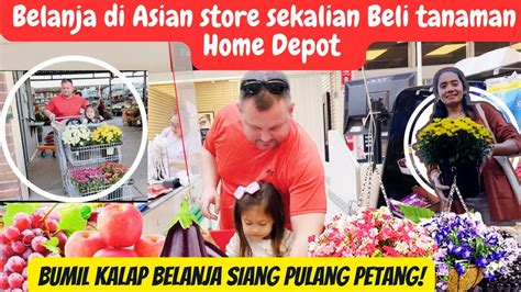 USA VLOG I Belanja Mingguan Di Asian Store Sekalian Beli Tanaman Untuk