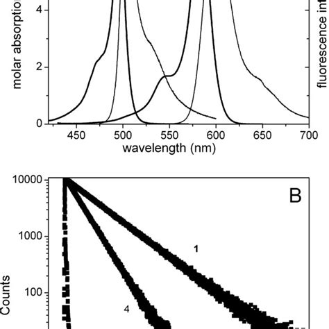 Absorption And Fluorescence Spectra A And Decay Curve B Of Compound Download Scientific