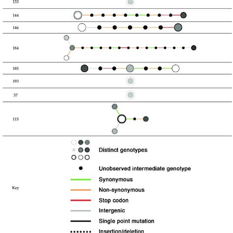 Maximum Likelihood Trees Of The Populations Found From Each Individual