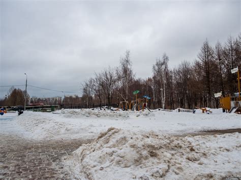 Зима в парке
