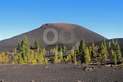 Chinyero volcano hike on Tenerife | sunbonoo.com