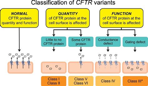 Standards Of Care For Cftr Variant Specific Therapy Including