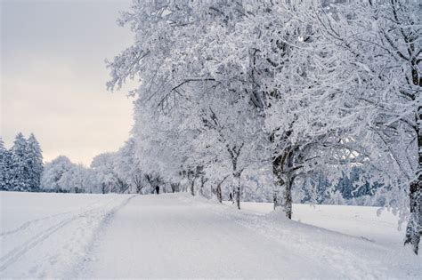 Zaczyna Si Prawdziwa Zima Nadci Gaj Nie Yce I Siarczyste Mrozy