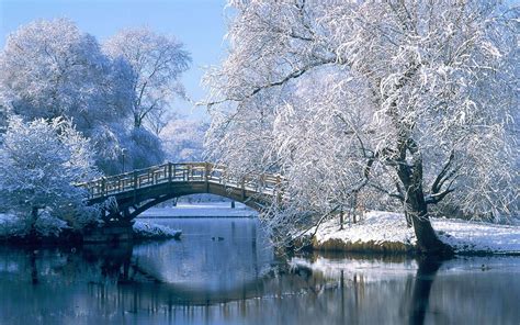 Winter Scenery Desktop Wallpapers - Top Free Winter Scenery Desktop Backgrounds - WallpaperAccess