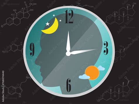 The circadian rhythms are controlled by circadian clocks or biological ... 