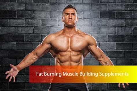 Fat Burning Muscle Building Supplements - Health Blog