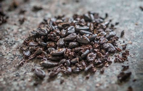 Au Ghana Les Profits Amers Des G Ants Du Chocolat Lebrief