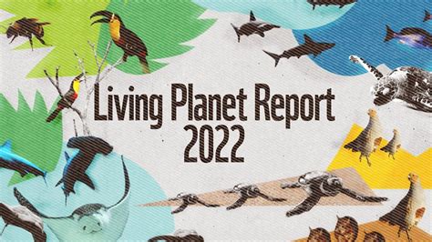 Wwfs Living Planet Report Youtube