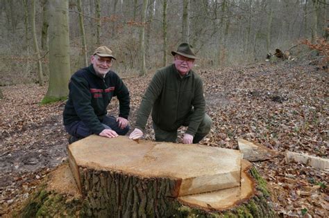 Forstamt Dassel Archive Nieders Chsische Landesforsten